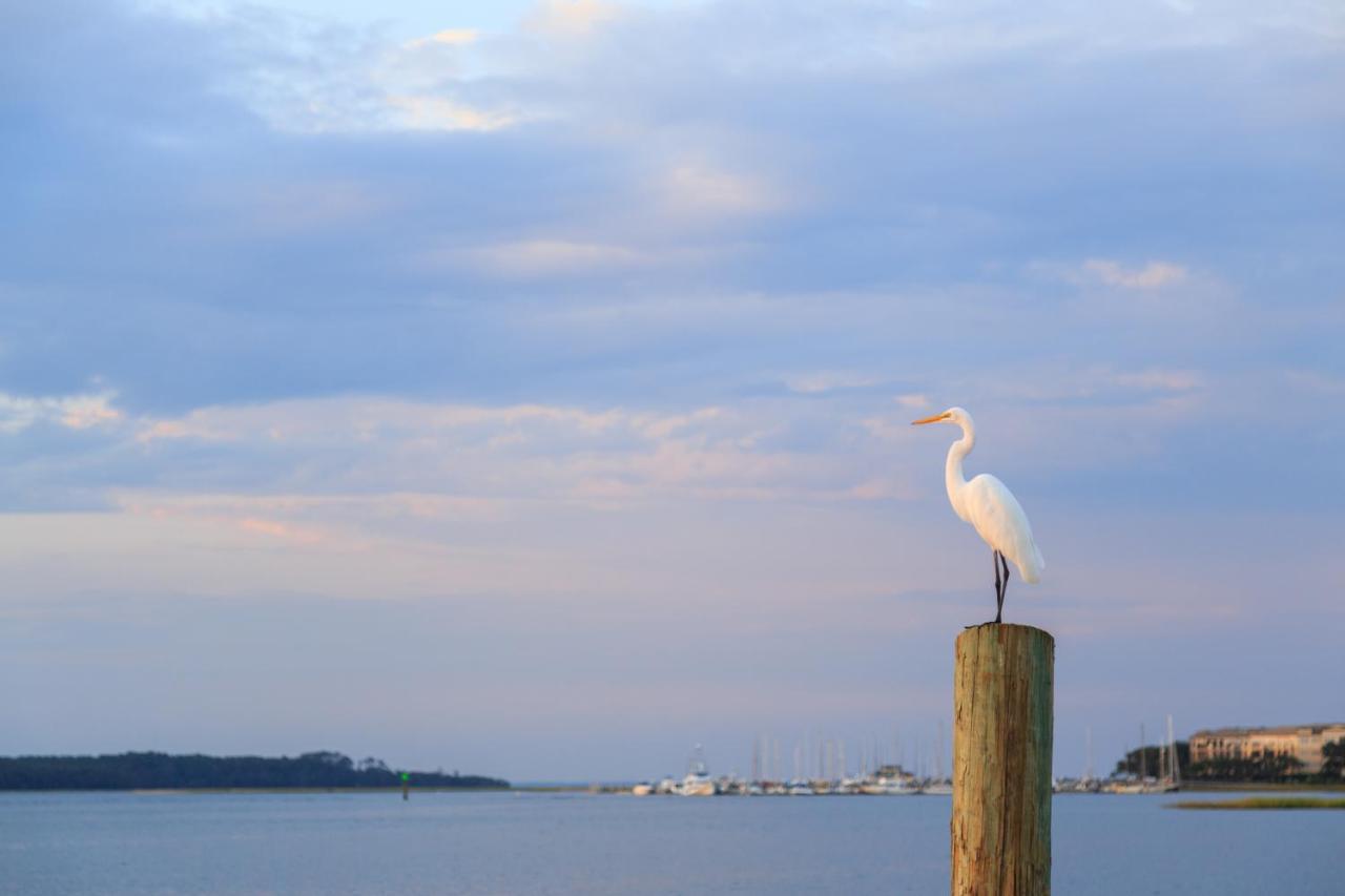 Breakers 215 Apartment Pulau Hilton Head Luaran gambar